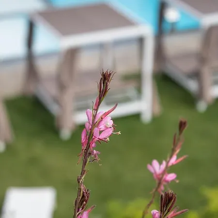 Nonna Cicci Boutique - 4* Cisterna dʼAsti