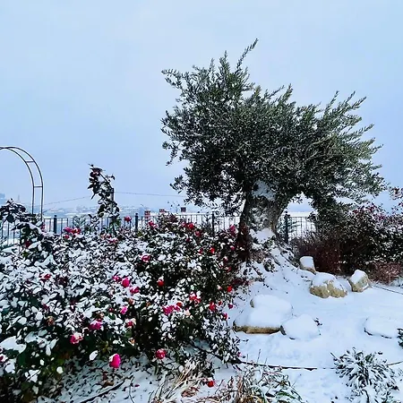 Nonna Cicci Boutique -