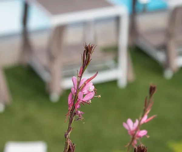 Nonna Cicci Boutique - 4* Cisterna dʼAsti