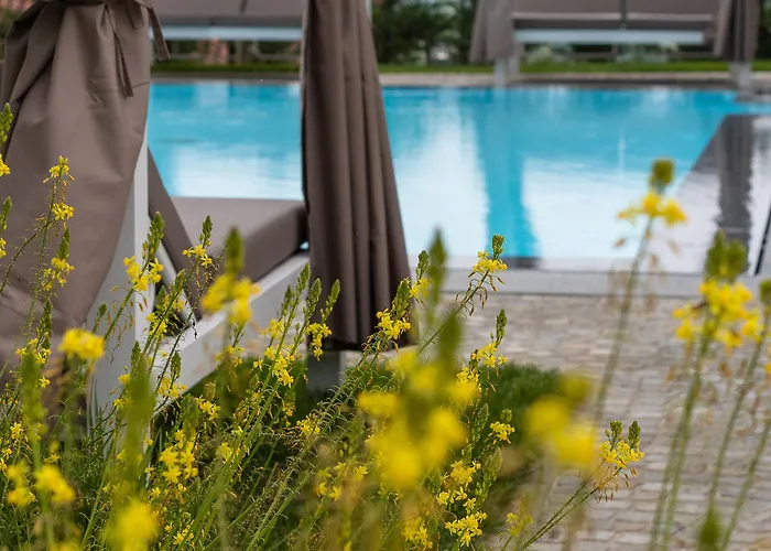 Bed & Breakfast Nonna Cicci Boutique - Cisterna dʼAsti